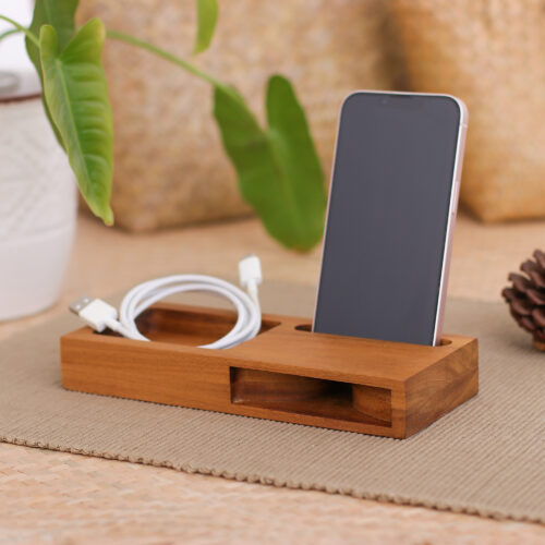 Hand-Carved Reclaimed Teakwood Phone Speaker and Compartment, 'Greatest Hits'