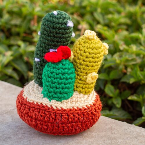Hand Crocheted Cactus Decor Accent, 'Desert Flora'